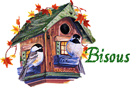 bisous oiseaux